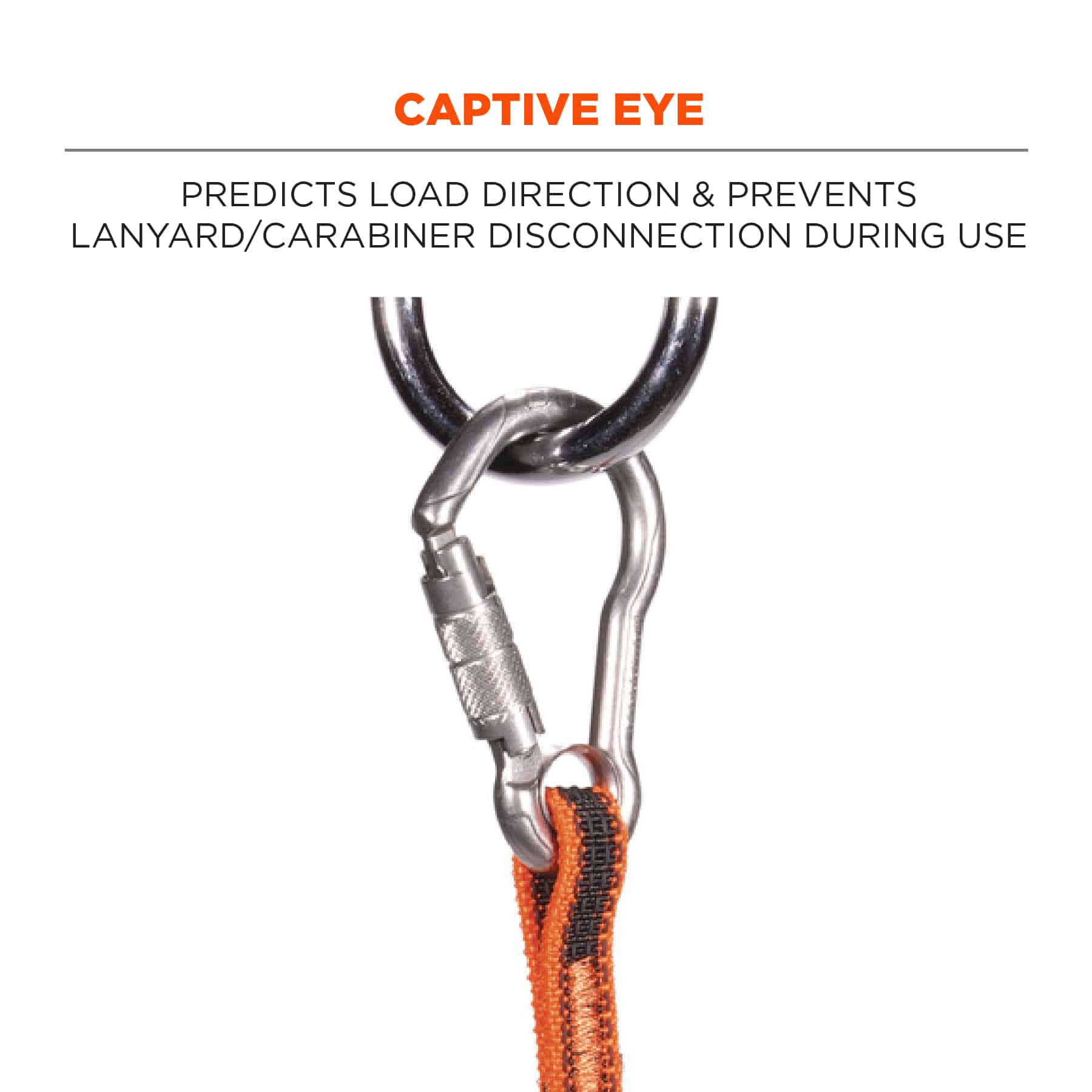 ERGODYNE Squids 3101F(x) Tool Lanyard Stainless-Steel Carabiner and Loop 15lbs from Columbia Safety
