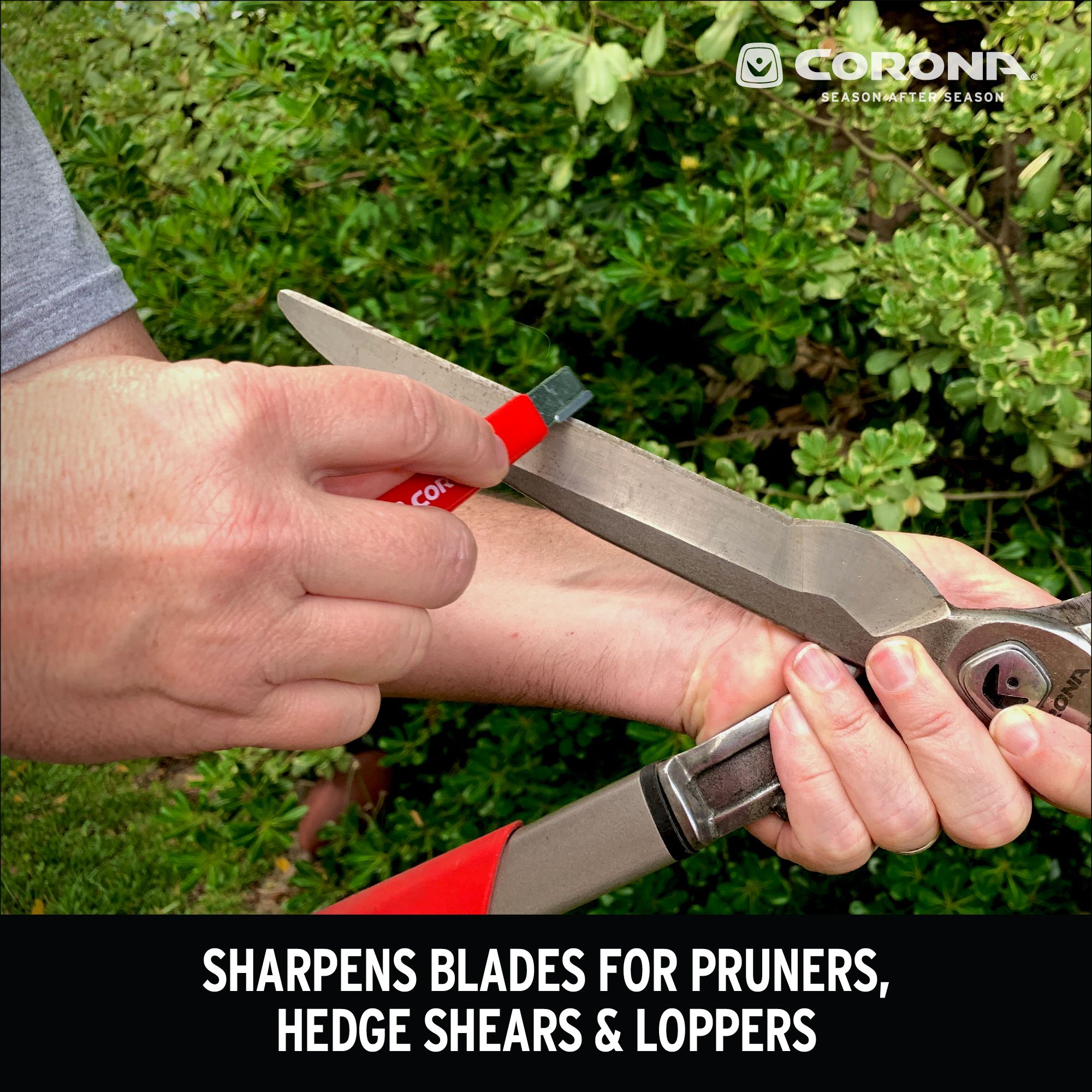 Corona Sharpening Tool from Columbia Safety